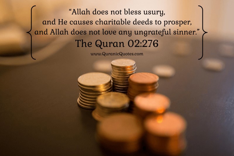 Interest HAYAT welfare foundation